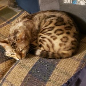 Meet your Posher, Kathleen